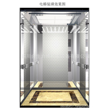Fujizy Passenger Elevator with High Quality